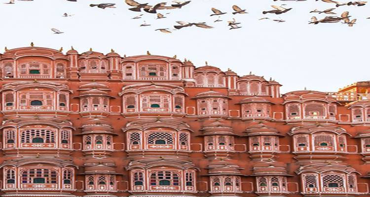 Découvrez les 15 jours magiques du Triangle d'Or avec le Rajasthan et Goa (TOUT COMPRIS) - Travel Con 4