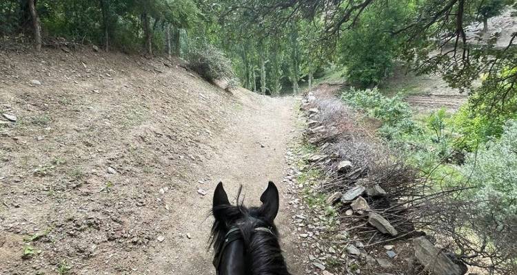 Horseback Riding in Uzbekistan - Marakanda Travel 4
