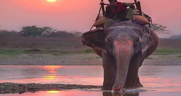 Descubre Nepal con el circuito de 10 días Katmandú Chitwan Lumbini Pokhara Nagarkot - Travel Con 5