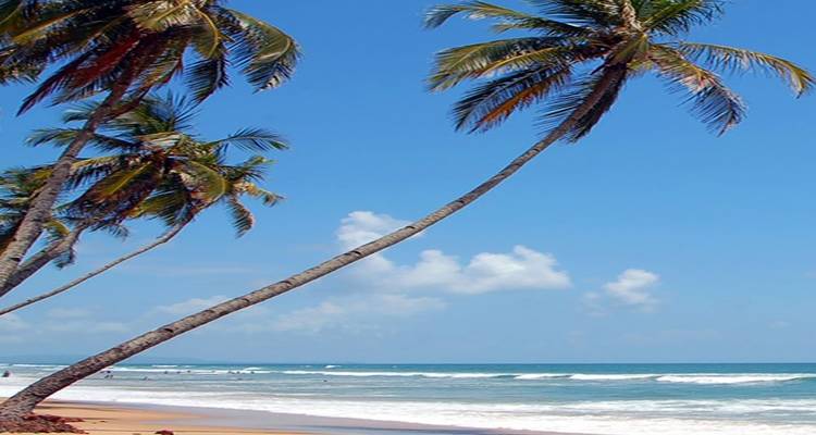 Circuit à Mumbai avec Goa (5 Nuits/6 Jours) (TOUT COMPRIS) - Travel Con 10