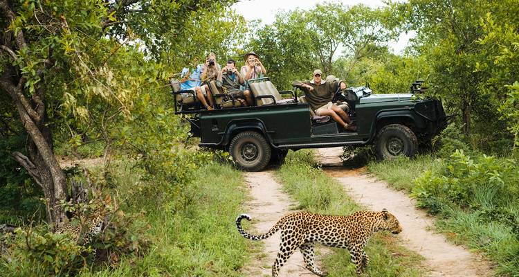 Kruger Safari with Eswatini (Start Johannesburg (until 22 December 2025)) - Contiki 5