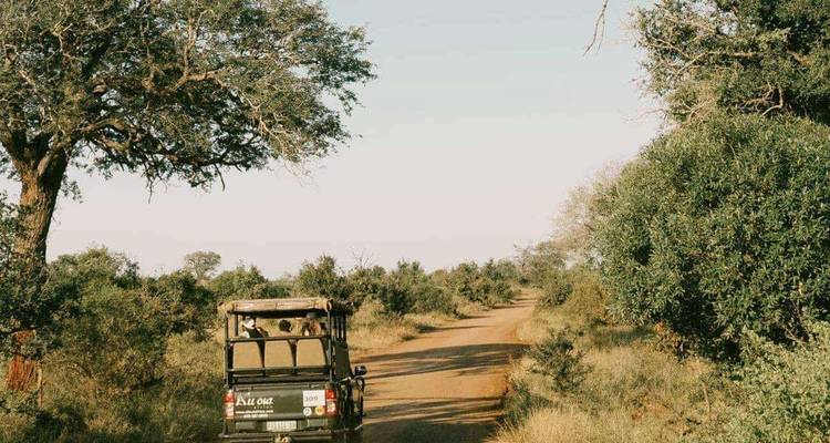 Offenes Safari-Fahrzeug fährt auf einer Dirt-Road, die von dichtem Buschveld eingegrenzt wird