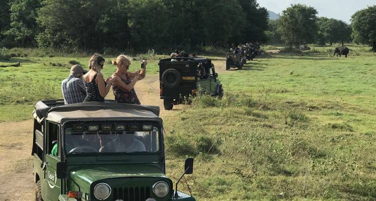 Touristes en safari, debout dans des jeeps observant la faune sauvage.