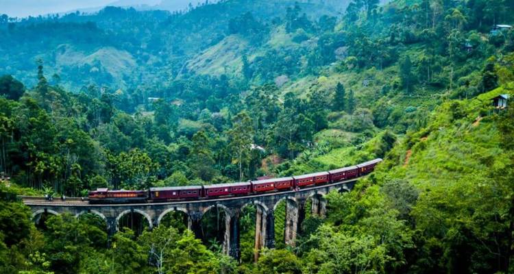 Train traversant le pont des Neuf Arches dans un paysage verdoyant luxuriant.