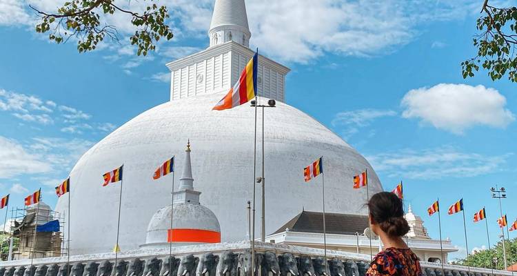 Odisea de la naturaleza en Sri Lanka: 14 días de vida salvaje, safaris, senderismo y patrimonio - Airlines Crew Tours 2