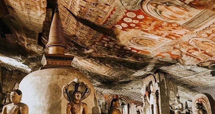 Odisea de la naturaleza en Sri Lanka: 14 días de vida salvaje, safaris, senderismo y patrimonio - Airlines Crew Tours 5