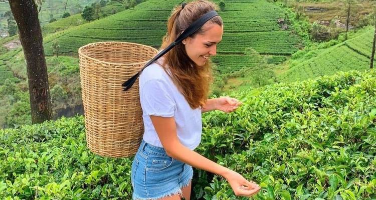 Odisea de la naturaleza en Sri Lanka: 14 días de vida salvaje, safaris, senderismo y patrimonio - Airlines Crew Tours 6