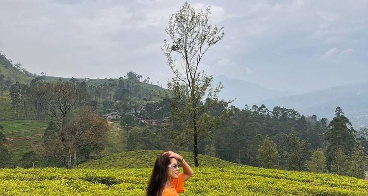 Person auf einer Teeplantage mit Hügeln im Hintergrund.