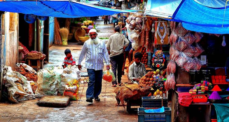 India: Triángulo de oro en 7 días - Receptivo Aborigen Tours 3