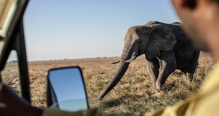 Safari de 3 jours en Tanzanie - Parc national du lac Manyara, Parc national du Tarangire et Cratère du Ngorongoro - Kilimanjaro Heroes Adventures 2