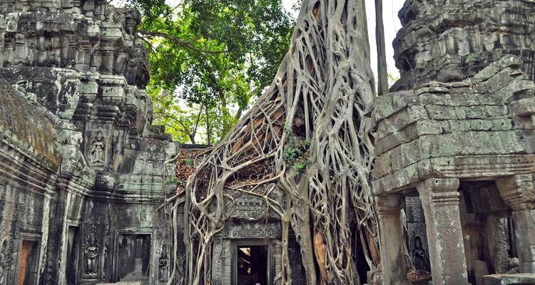 Les royaumes d'Asie du Sud-Est : Vietnam, Cambodge, Laos et Thaïlande (de Hanoï à Bangkok) (2024) - Collette 1