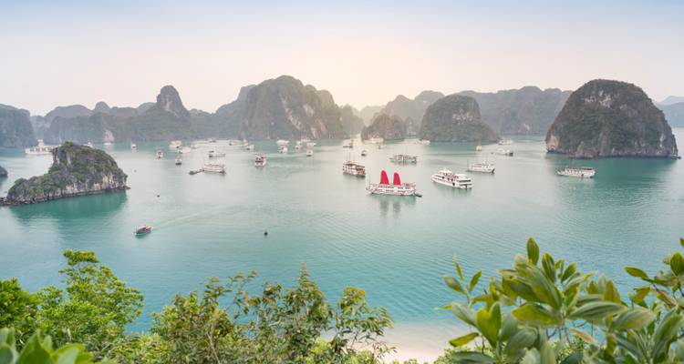 Panoramic vista over emerald Halong Bay dotted with cruise junks and towering limestone karsts at soft dawn light.