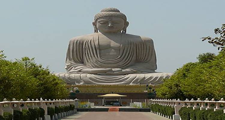 Große Buddha-Statue auf einer erhöhten Plattform, umgeben von Bäumen.