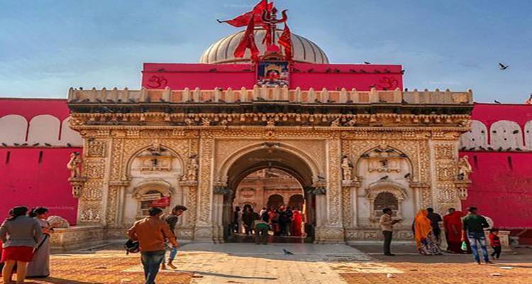 Circuito a la cultura y la fauna de Rajastán: Un viaje exquisito al corazón de la India - Todo incluido - Travel Con 1