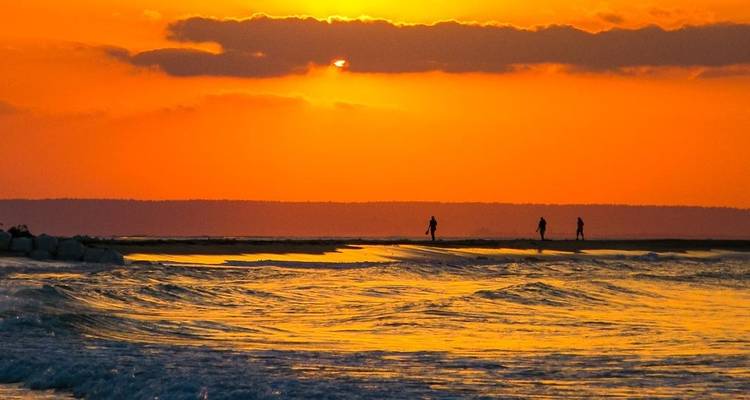 Gorongosa Adventure Tour - 14 days - Chamaeleon 4