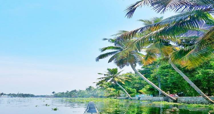 10 jours de la romantique Kerala : Une escapade romantique inoubliable (TOUT COMPRIS) - Travel Con 7