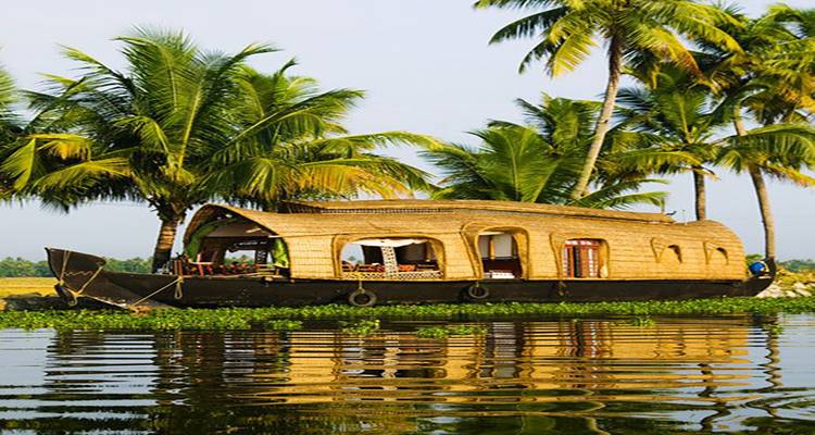 10 jours de la romantique Kerala : Une escapade romantique inoubliable (TOUT COMPRIS) - Travel Con 8