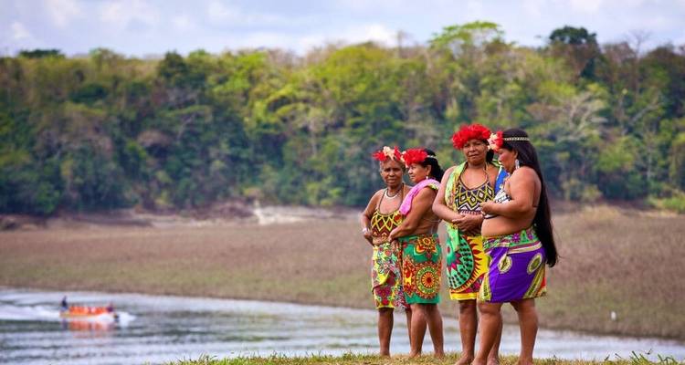 Focus sur la harpie et le quetzal - DIAMIR Erlebnisreisen 4