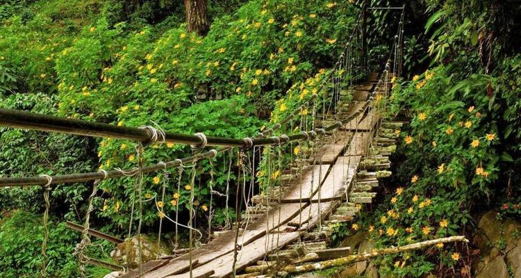 Focus sur la harpie et le quetzal - DIAMIR Erlebnisreisen 7