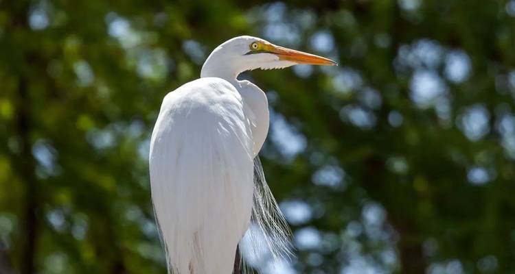 9 jours de safari culturel dans la nature sauvage de Tanzanie (hébergement et transport inclus) - Tanzania Wildlife Adventures 4