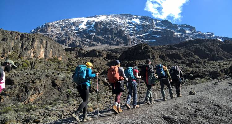 Kilimanjaro Trek - Marangu Route - Shiri Adventures 6