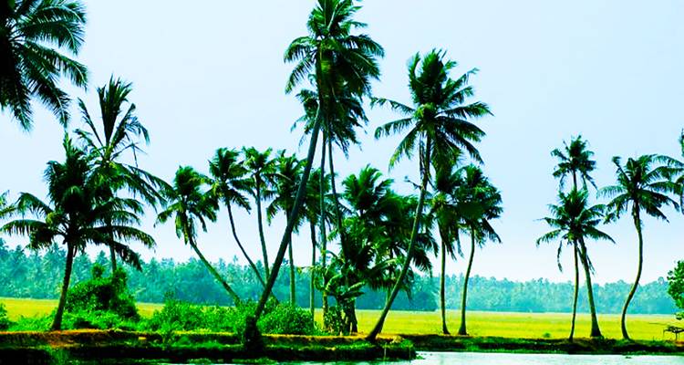 21 jours d'Inde du Sud romantique : Un voyage pas comme les autres (TOUT COMPRIS) - Travel Con 1
