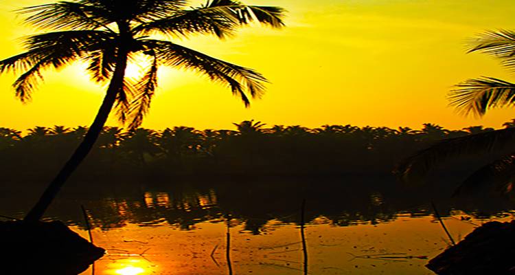 21 jours d'Inde du Sud romantique : Un voyage pas comme les autres (TOUT COMPRIS) - Travel Con 3
