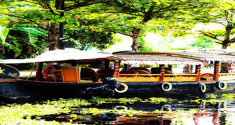 21 jours d'Inde du Sud romantique : Un voyage pas comme les autres (TOUT COMPRIS) - Travel Con 6