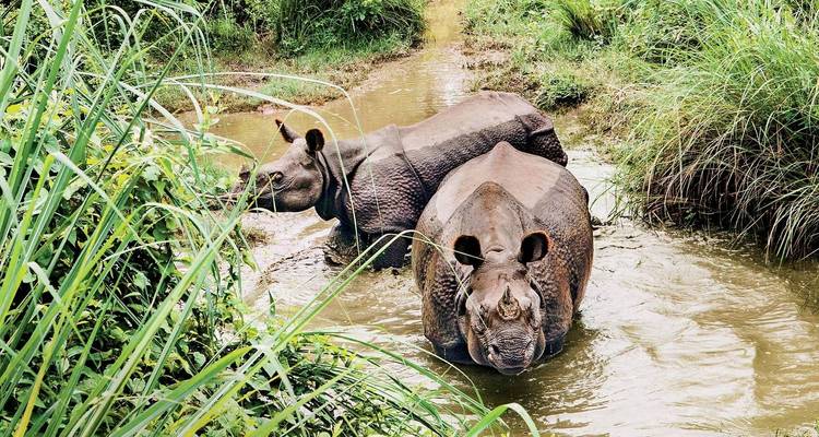 Premium India and Nepal Tour - Holidays At 8