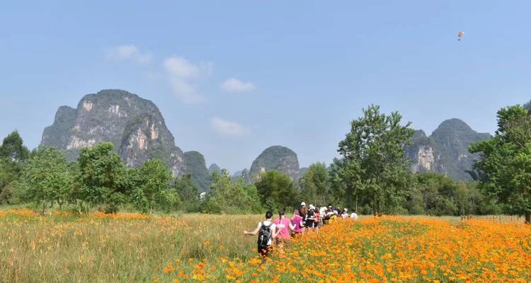 South China Discovery 12D: Hong Kong, Guilin, Chongqing, Three Gorges, Shanghai - Silk Road Trips 4