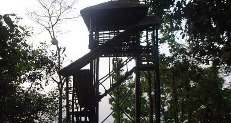 Discover the Wildlife Wonders in Pilibhit Tiger Reserve Safari - Travel Con 3