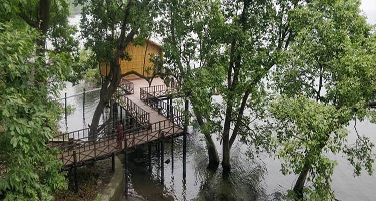 Discover the Wildlife Wonders in Pilibhit Tiger Reserve Safari - Travel Con 10