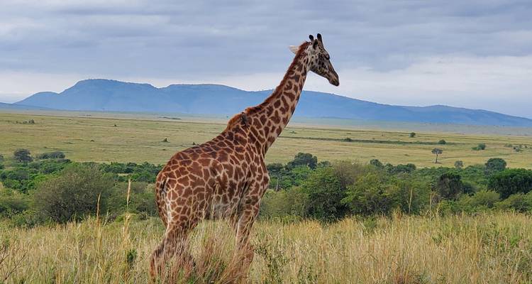 Faites- moi visiter l'Afrique de l'Est - Holiday Destination Safaris 3