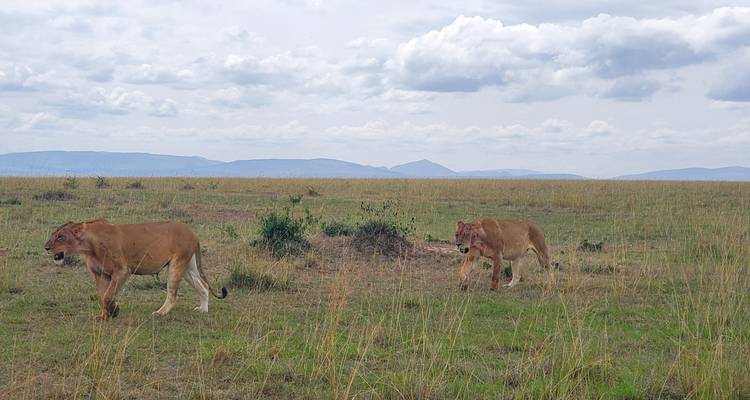 Faites- moi visiter l'Afrique de l'Est - Holiday Destination Safaris 4