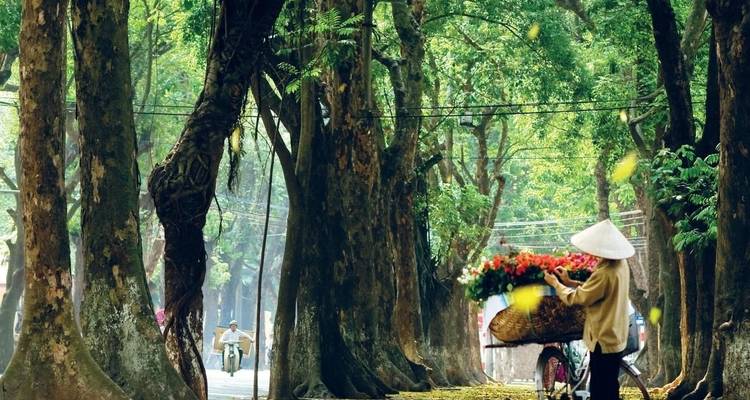 Increíble itinerario de Norte a Sur de Vietnam 18 días/17 noches - Bee Gng International Joint Stock Company 6