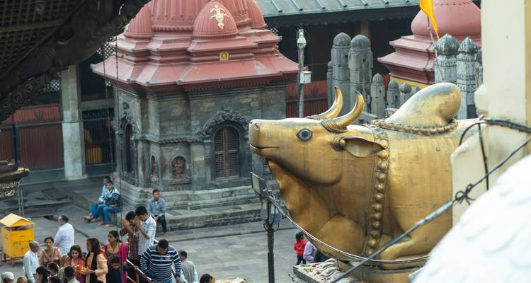Famous 14 Days India Nepal Wildlife Tour with Taj Mahal - Agra Travels Service & Tours 1