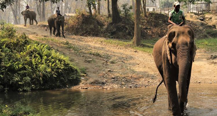 Famous 14 Days India Nepal Wildlife Tour with Taj Mahal - Agra Travels Service & Tours 4