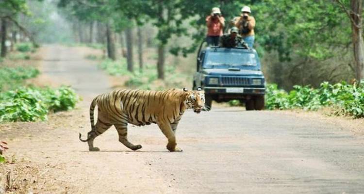 Famous 14 Days India Nepal Wildlife Tour with Taj Mahal - Agra Travels Service & Tours 7