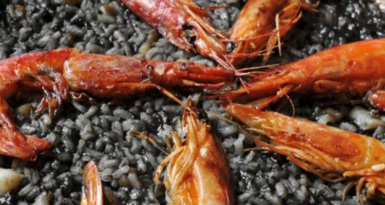 Beyond Girona - Eat Sleep Cycle 1