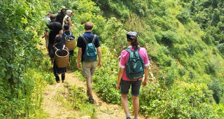 Des randonneurs marchant sur un sentier étroit dans un paysage verdoyant.