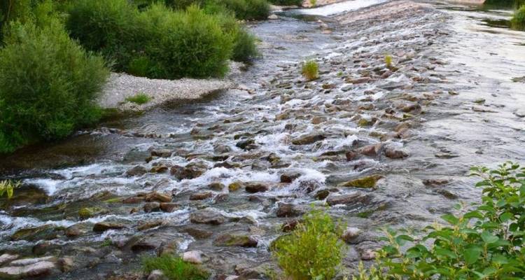 Rocky river with swift currents and green surroundings.
