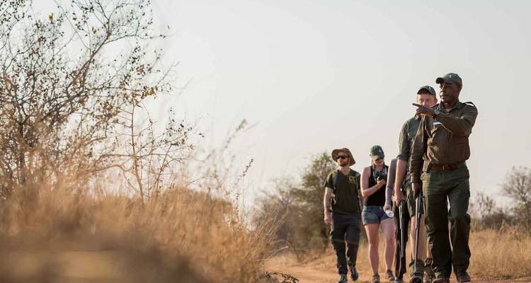 4 Días | Safaris a pie y en coche por el Kruger - Timeline Travel DMC 1