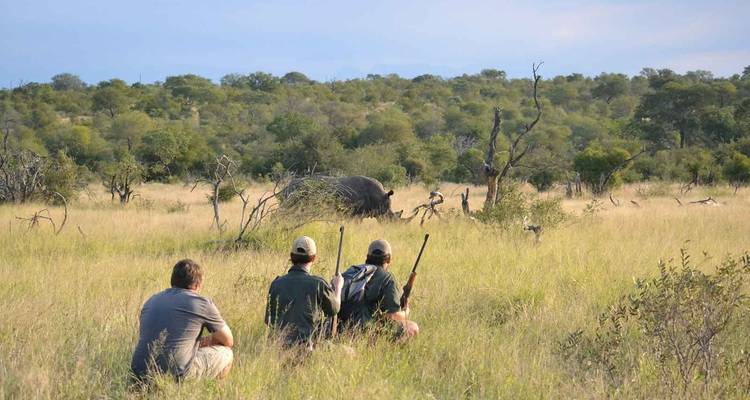 4 Días | Safaris a pie y en coche por el Kruger - Timeline Travel DMC 2