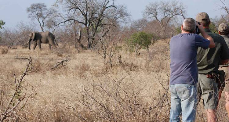 4 Días | Safaris a pie y en coche por el Kruger - Timeline Travel DMC 3
