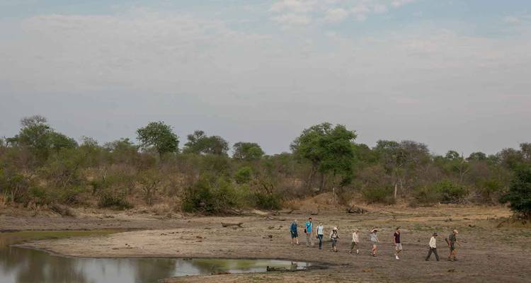 4 Días | Safaris a pie y en coche por el Kruger - Timeline Travel DMC 4
