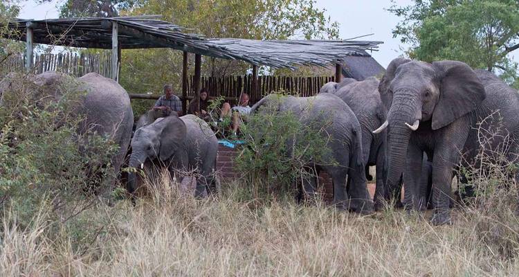 4 Días | Safaris a pie y en coche por el Kruger - Timeline Travel DMC 6