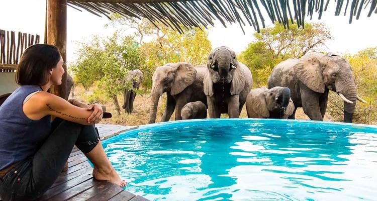 4 Días | Safaris a pie y en coche por el Kruger - Timeline Travel DMC 7