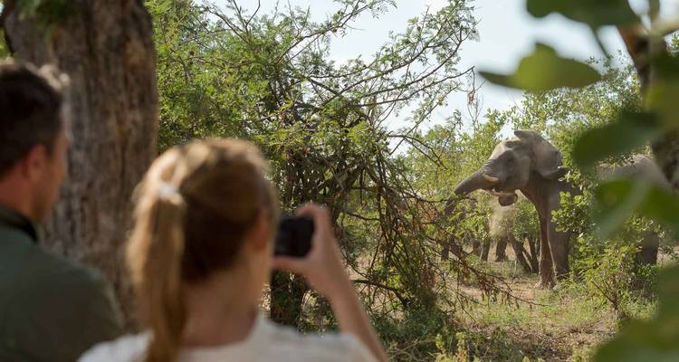 4 Días | Safaris a pie y en coche por el Kruger - Timeline Travel DMC 8