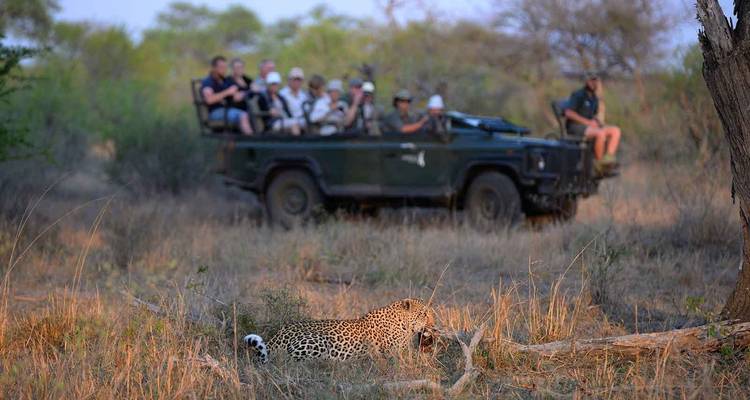 4 Días | Safaris a pie y en coche por el Kruger - Timeline Travel DMC 9