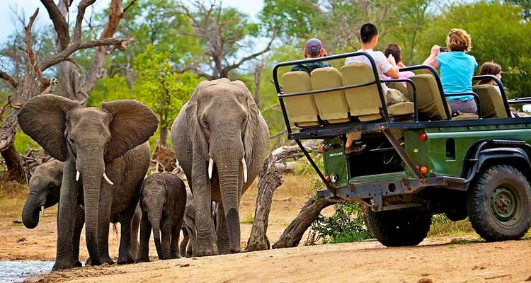 4 Días | Safaris a pie y en coche por el Kruger - Timeline Travel DMC 10